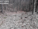 IMG_20150412_1224391