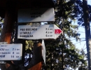 IMG_20140719_083221